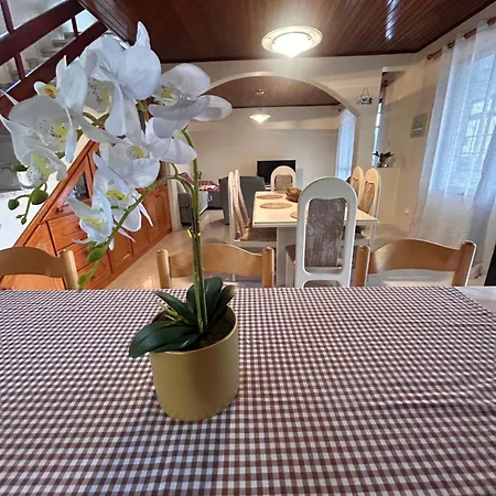 A Casa Da Minha Mae بول دو مار